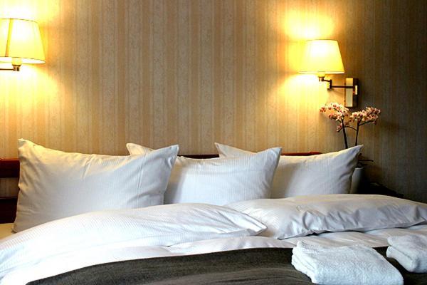 Hotel Doberaner Hof 바트 도베란 객실 사진